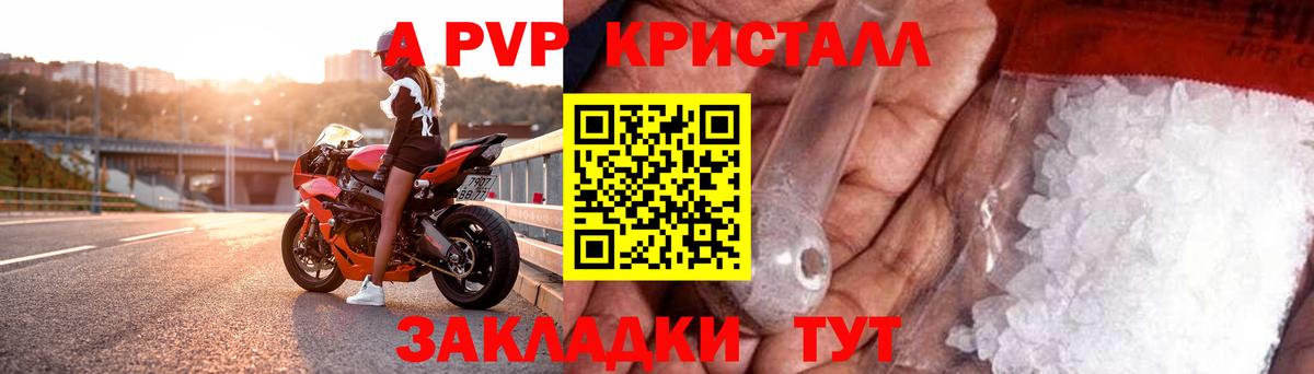 Альфа ПВП СК Петропавловск-Камчатский