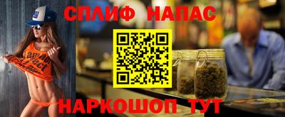 крисы Пенза