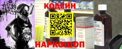 крисы Пенза